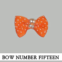 Bow Number Fifteen