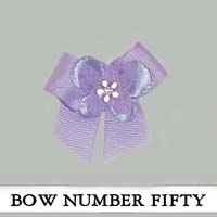 Bow Number Fifty