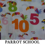 Parrot School