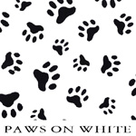 Paws on White