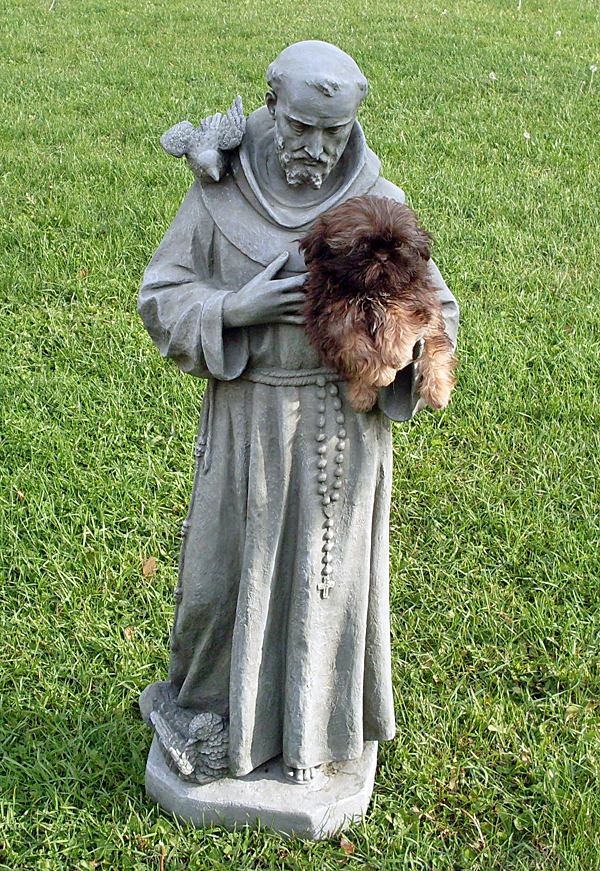 St Francis & Reese