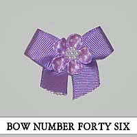 Bow Number Forty Six