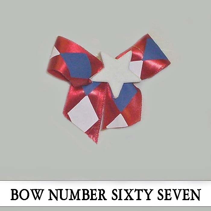 Bow Number Sixty Seven