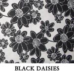 Black Daisies