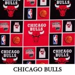 Chicago Bulls