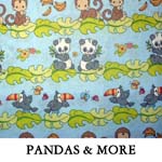 Pandas & More