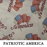 Patriotic America