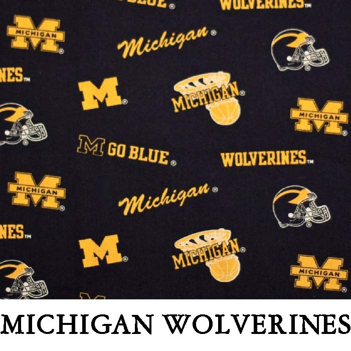 Michigan Wolverines