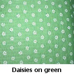 daisies on green background