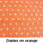 daisies on orange