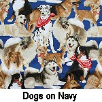 Dogs on Navy