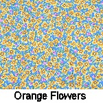 orange flowers on blue