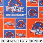 Boise State Univ Broncos