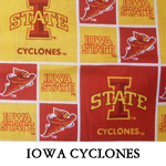 Iowa Cyclones