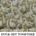 Duck Get Together