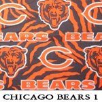 Chicago Bears 1