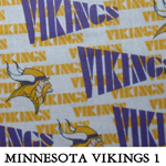 Minnesota Vikings 1
