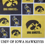 Univ of Iowa Hawkeyes