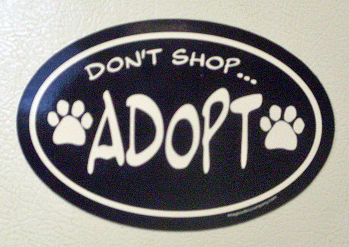 Don't Shop Adopt