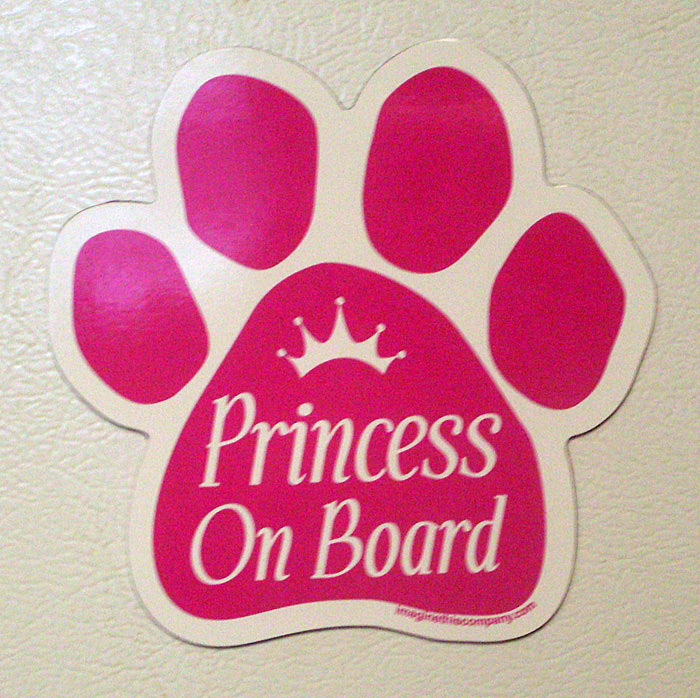 Princess on Board