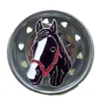 Horse Fly Sink Strainer