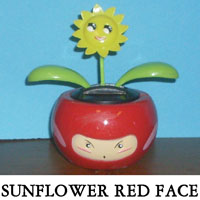 Sunflower Red Face