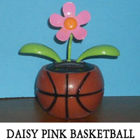 Daisy Pink Basketball