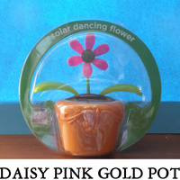 Daisy Pink Gold Pot
