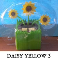 Daisy Yellow 3