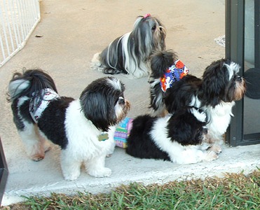 Jester, Pringle, Harley & Jackson in back