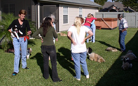 Christine, Eunmi, Jan, Jen, Colleen, Jennifer & Bruce