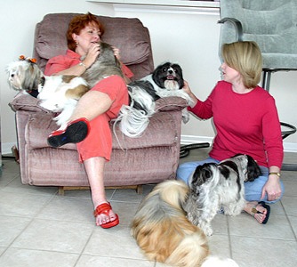 Marg, Colleen, Tiki, Peabody, Rolex & Skylar